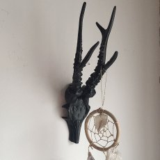 Deer Black, rådjur, vägg dekoration