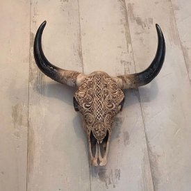 Bull skull longhorn, djurhuvud, Carved