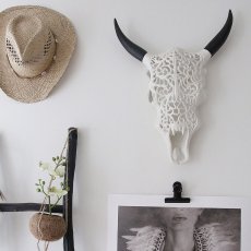 Bull Skull, djurhuvud, tjurhuvud, Decoration, WHITE