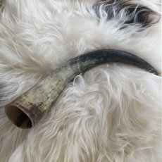 Vintage Horn, Natur 40-49 cm