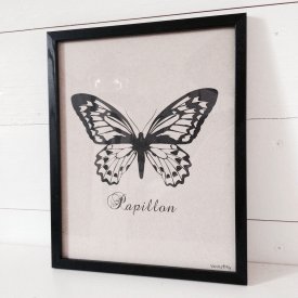 Poster, Papillon, Fjäril, brunt återvunnet papper, Vanilla Fly