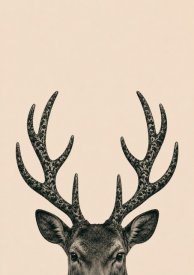 Poster A3 Hjort, Veda Form
