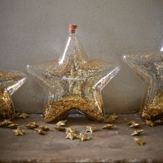 Stjärndekorations Flaska Guld Glitter, Riviera Maison