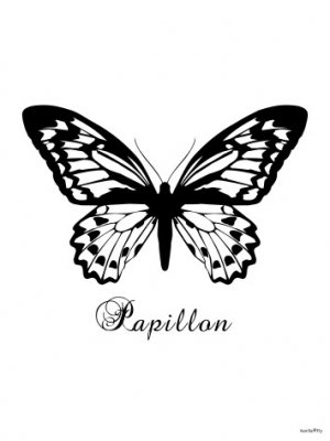 Fjäril poster, Papillon, Vanilla Fly